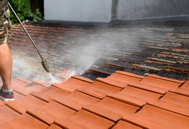 Best Roof Pressure Washing  in Fruitland, ID